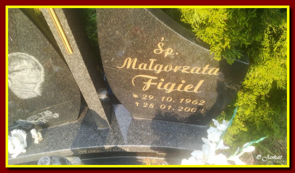 Figiel M.